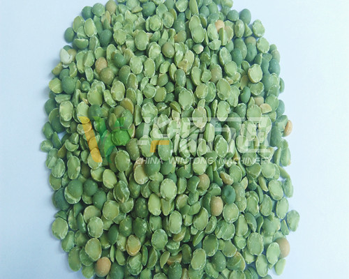 <a href=http://www.51yuqing.com.cn/product/8/ target=_blank class=infotextkey>豌豆脫皮機(jī)</a>
